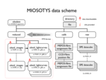 Diagramme miosotys